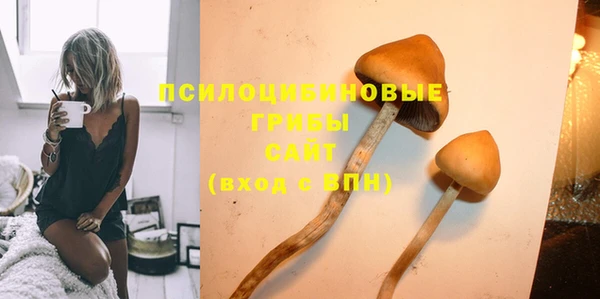 крисы Куйбышев