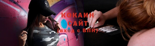 крисы Куйбышев
