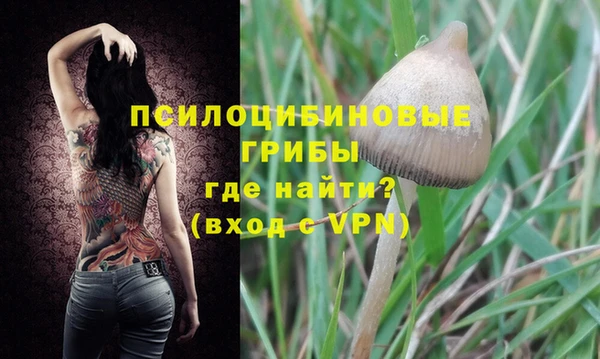 дурь Кулебаки
