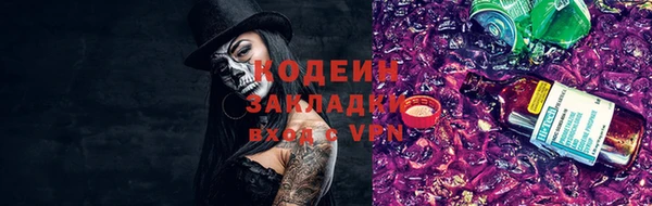 крисы Куйбышев