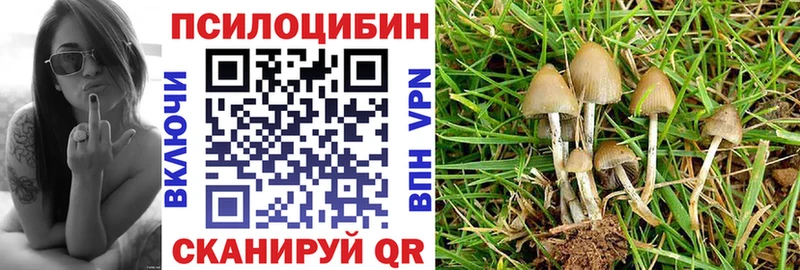 мориарти формула  Усть-Джегута  Псилоцибиновые грибы Magic Shrooms 