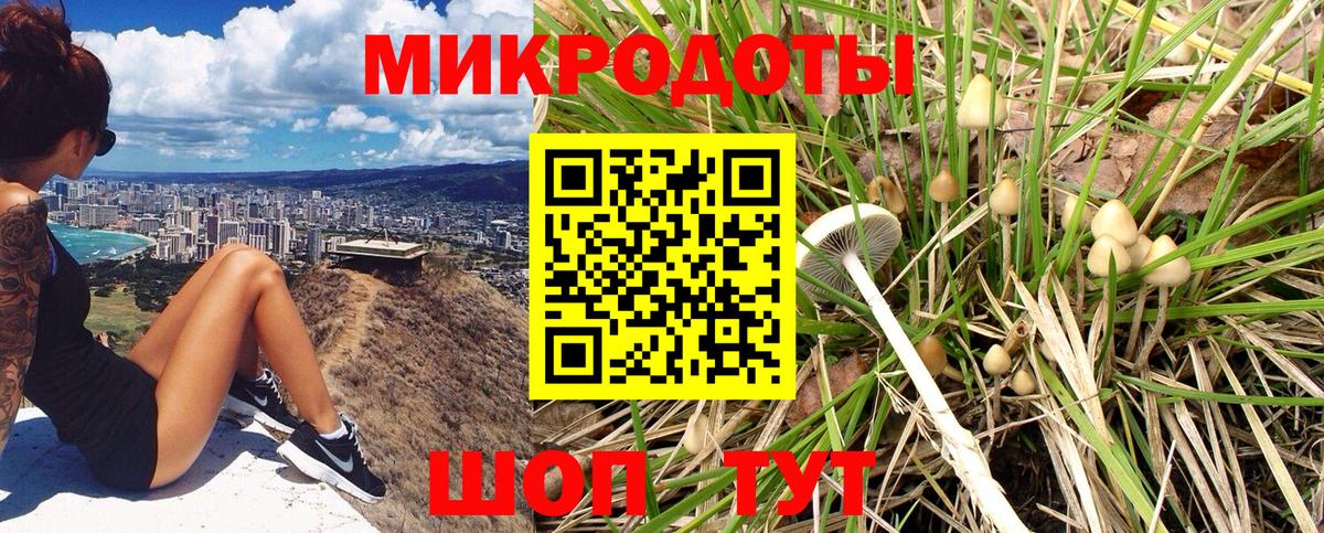 Псилоцибиновые грибы Magic Shrooms  Псилоцибиновые грибы мицелий  Вход с VPN  Усть-Джегута 