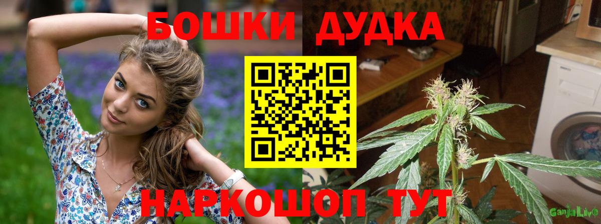 Бошки Шишки MAZAR Усть-Джегута